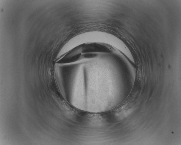 X0000065250424200603031808