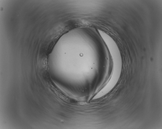 X0000065250425200603031808