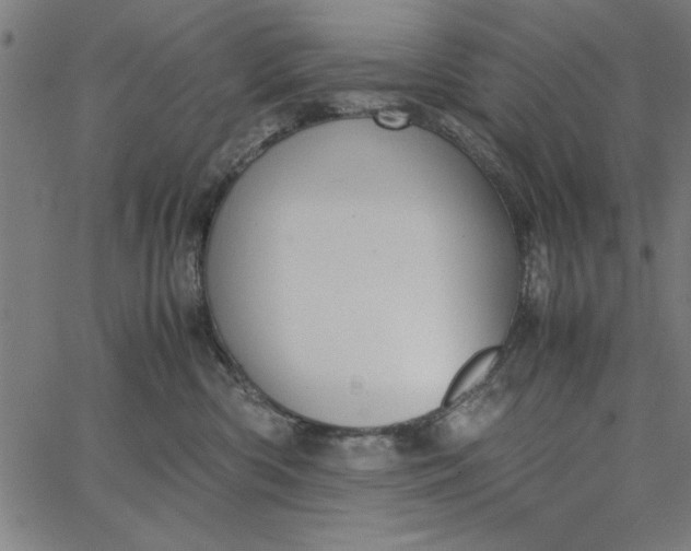 X0000065250426200603031808