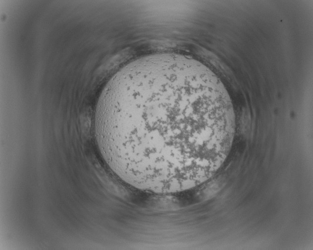 X0000065250427200603031808