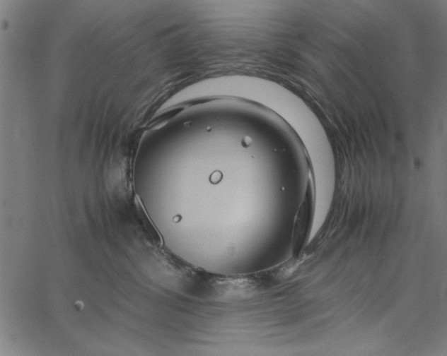 X0000065250428200603031808