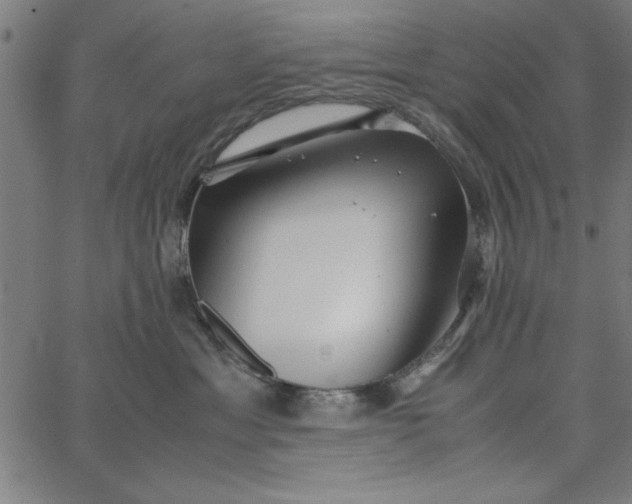 X0000065250429200603031808