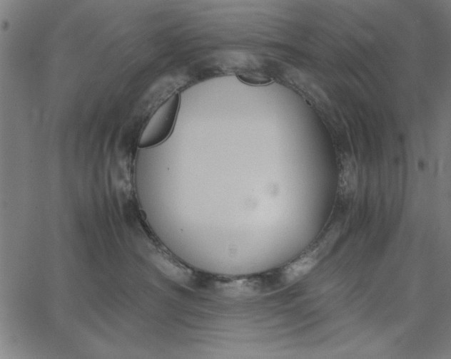 X0000065250430200603031808