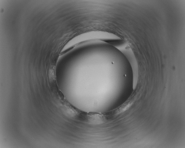 X0000065250432200603031808