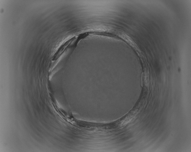 X0000065250434200603031807