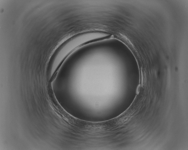 X0000065250435200603031807