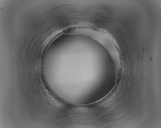 X0000065250437200603031807