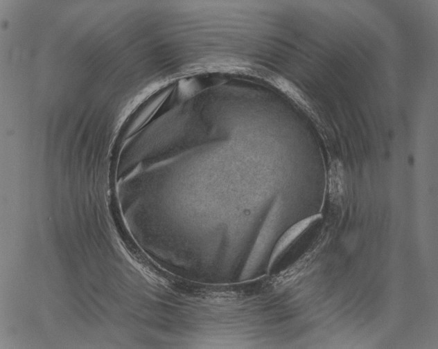 X0000065250438200603031807