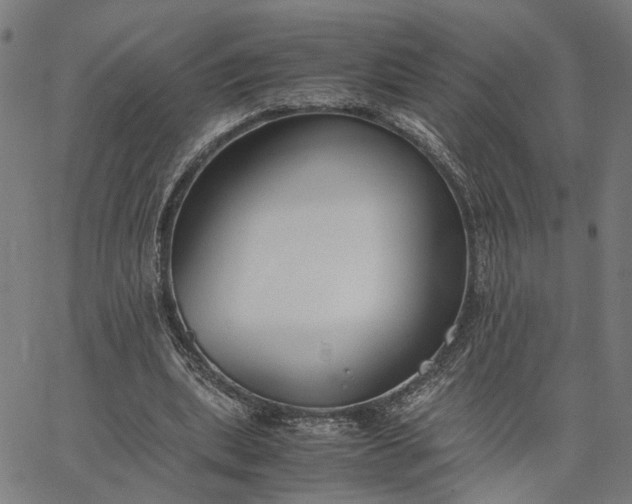 X0000065250439200603031807