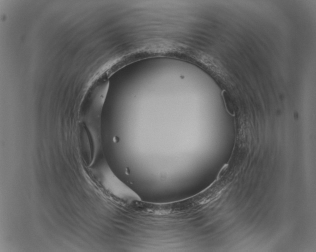 X0000065250440200603031807