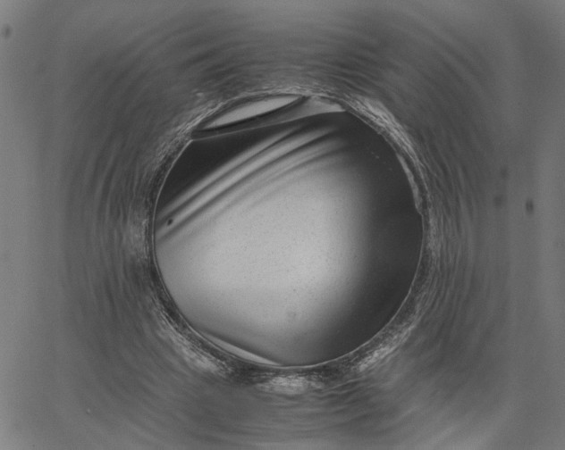 X0000065250441200603031807