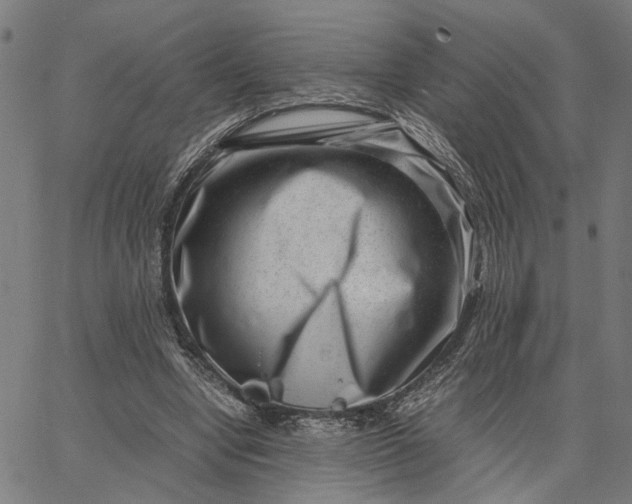 X0000065250442200603031807