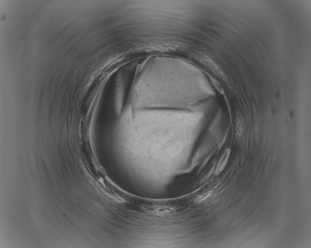 X0000065250444200603031807