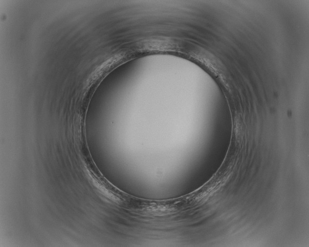 X0000065250445200603031807