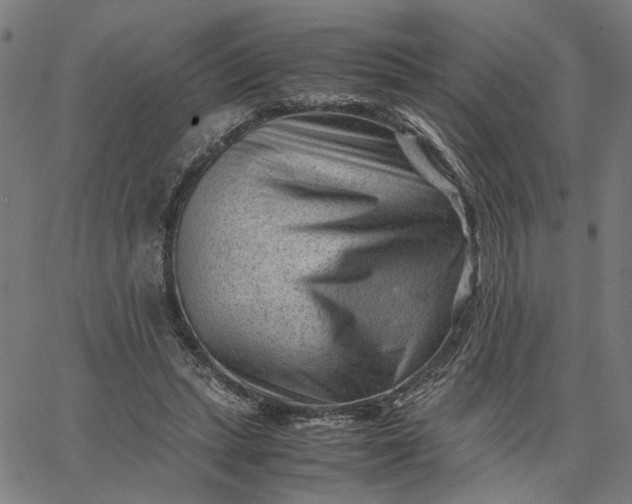 X0000065250447200603031807