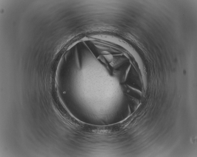 X0000065250448200603031807