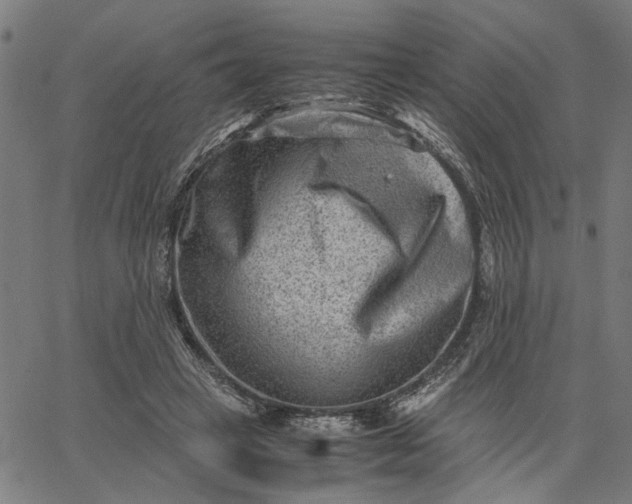 X0000065250449200603031807