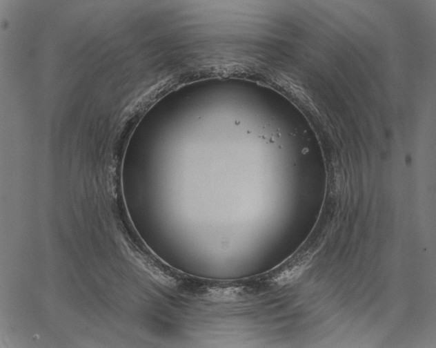 X0000065250450200603031807