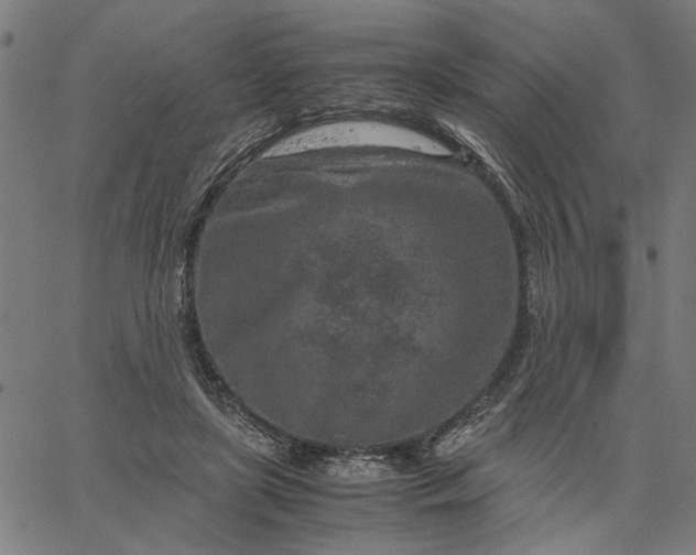 X0000065250451200603031808