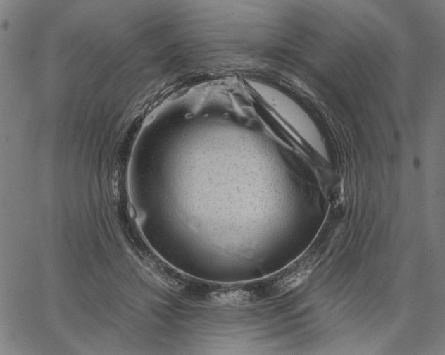 X0000065250452200603031808