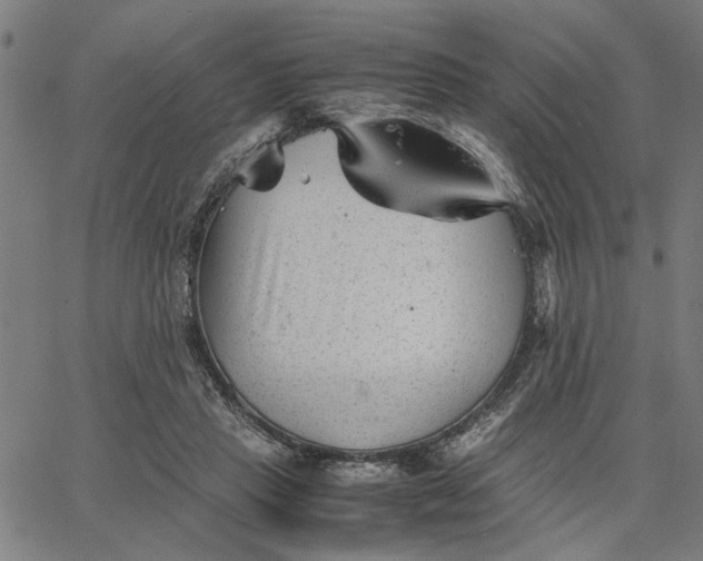 X0000065250453200603031808