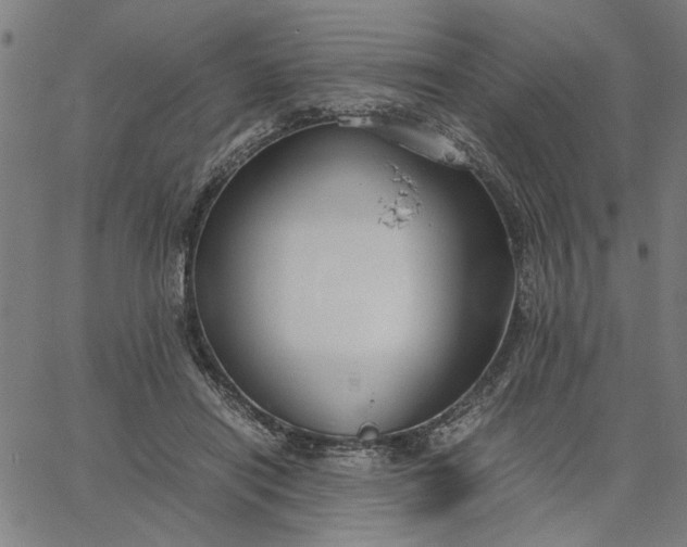 X0000065250454200603031808