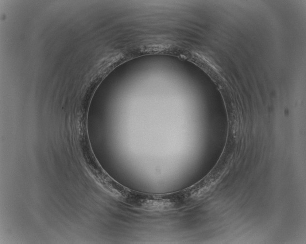 X0000065250455200603031808