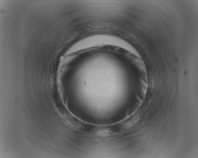 X0000065250456200603031808