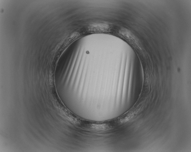 X0000065250457200603031808