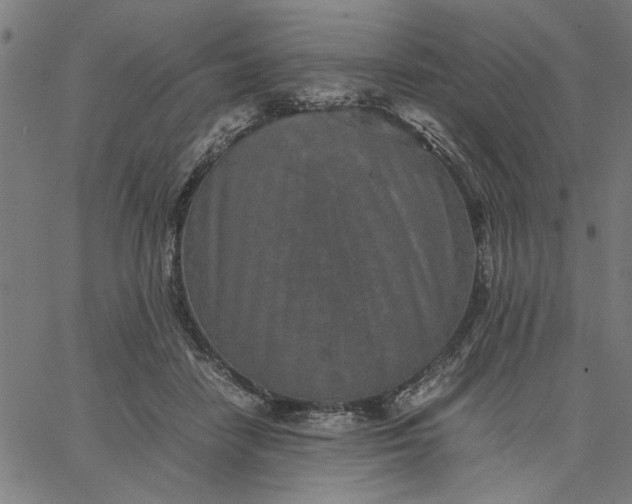 X0000065250458200603031808