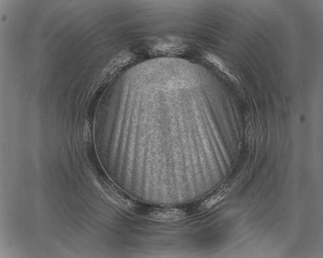 X0000065250459200603031808