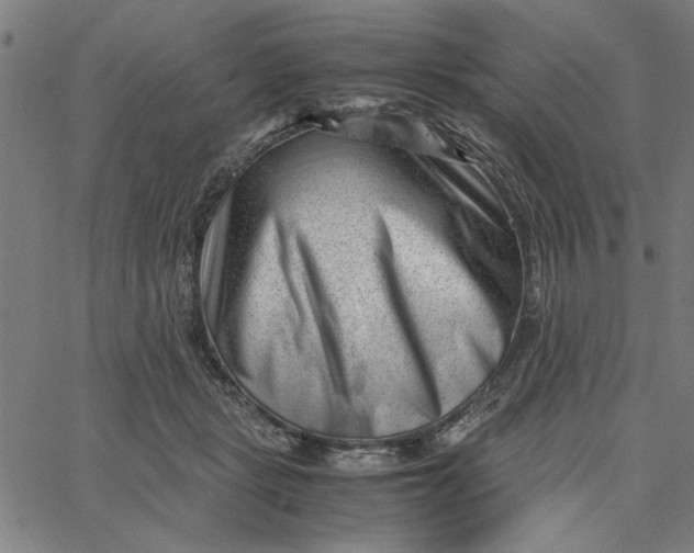 X0000065250461200603031808