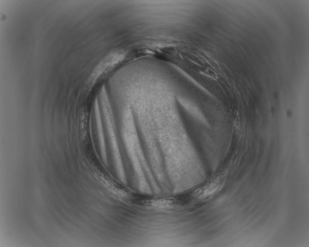 X0000065250462200603031808