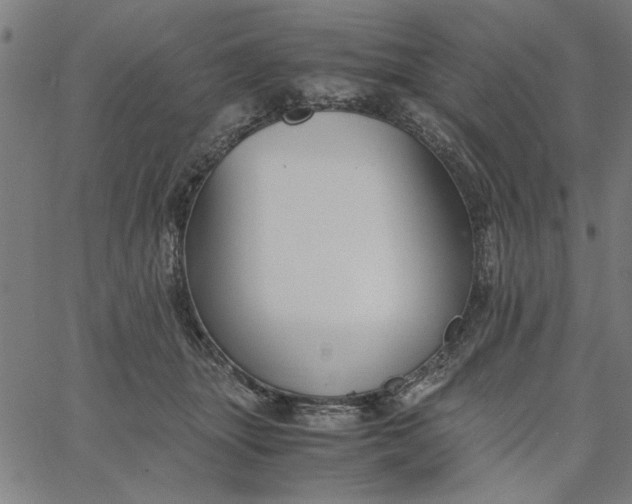 X0000065250463200603031808