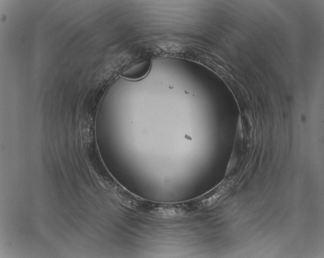 X0000065250464200603031808