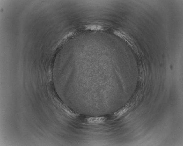 X0000065250465200603031808