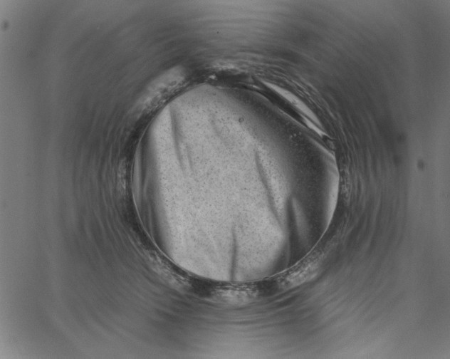 X0000065250466200603031808