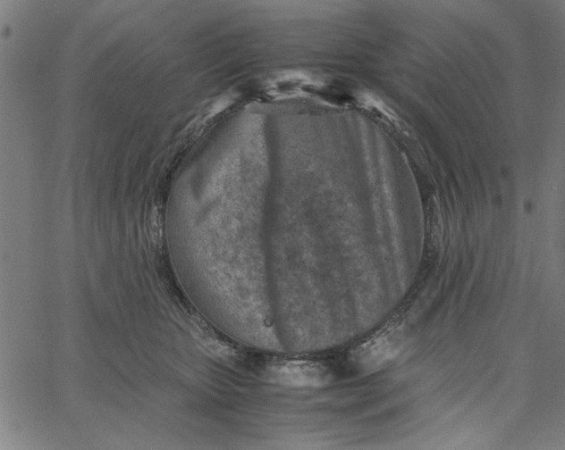 X0000065250467200603031808