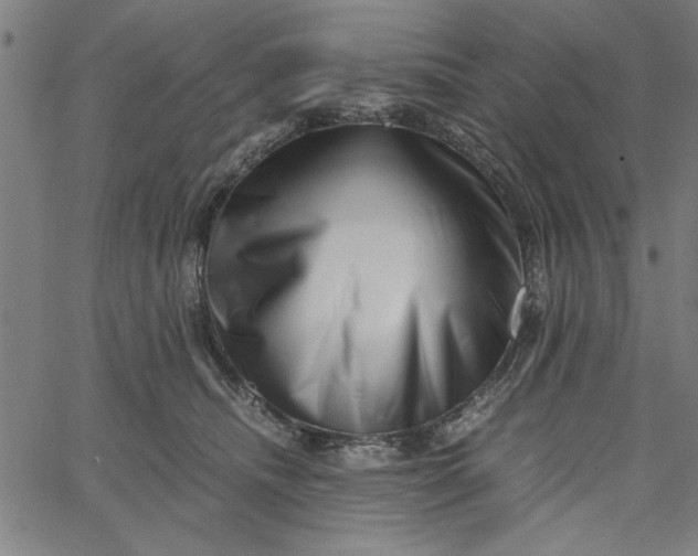 X0000065250468200603031808