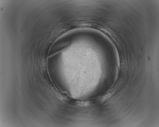 X0000065250469200603031808