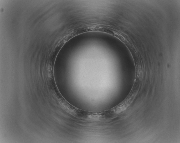 X0000065250470200603031808