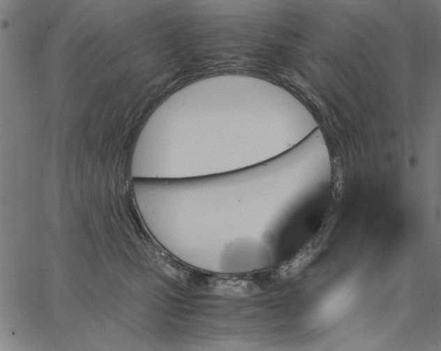 X0000065250471200603031808