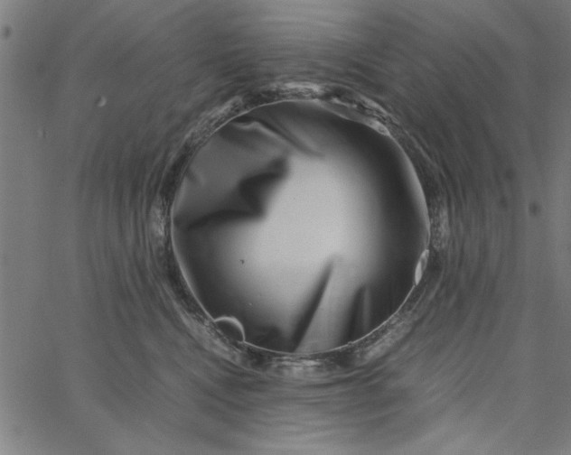 X0000065250472200603031808