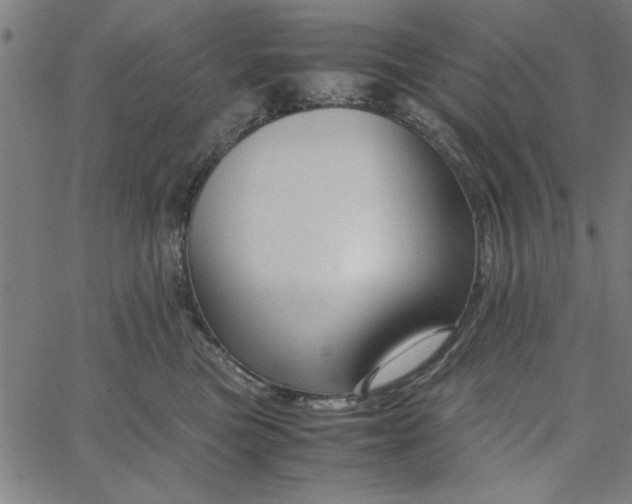 X0000065250473200603031808