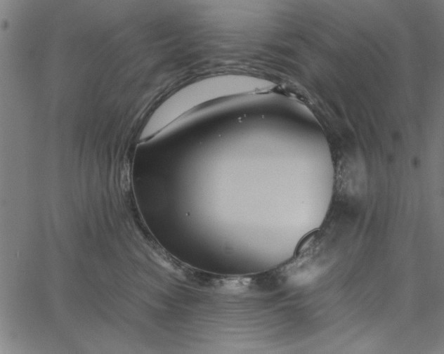 X0000065250474200603031808