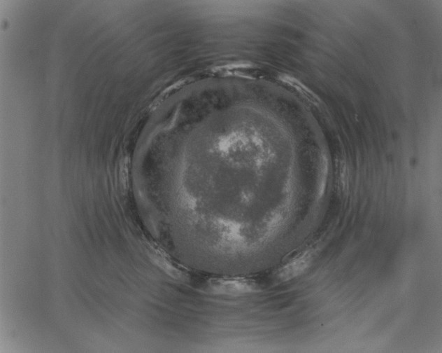 X0000065250475200603031808