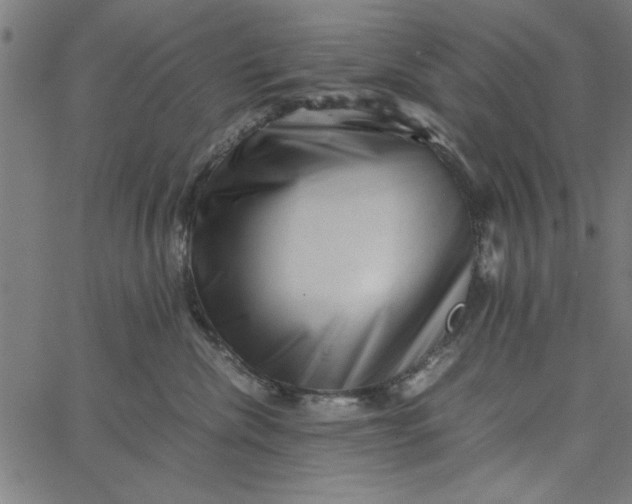 X0000065250476200603031808