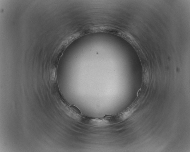 X0000065250477200603031808