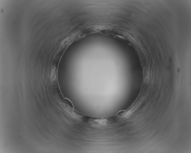 X0000065250478200603031808