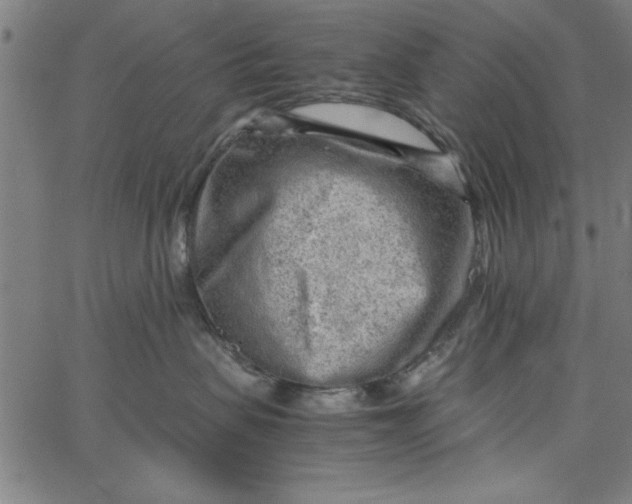 X0000065250479200603031808